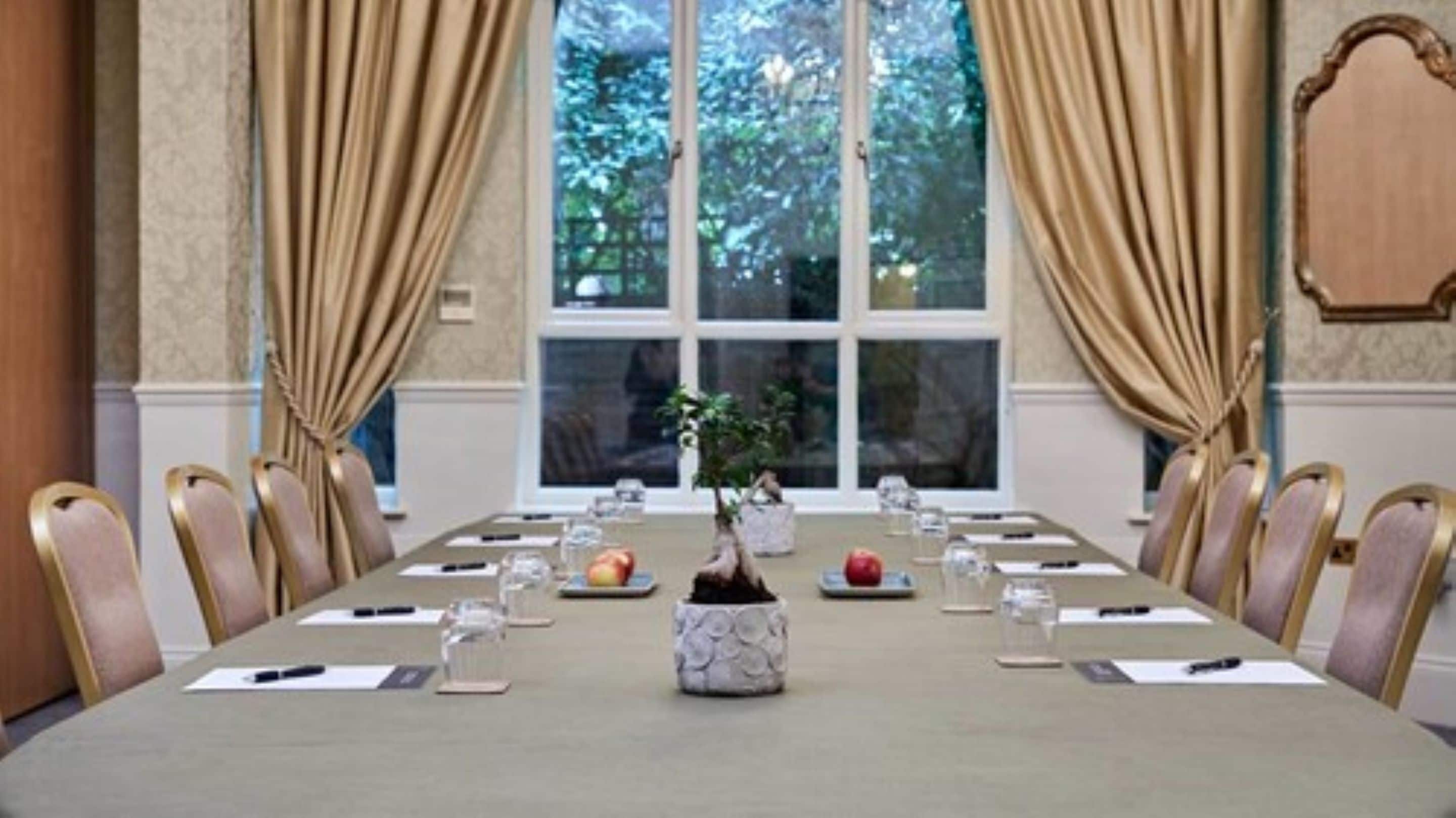 A conference room with a long table, chairs, and a potted plant.