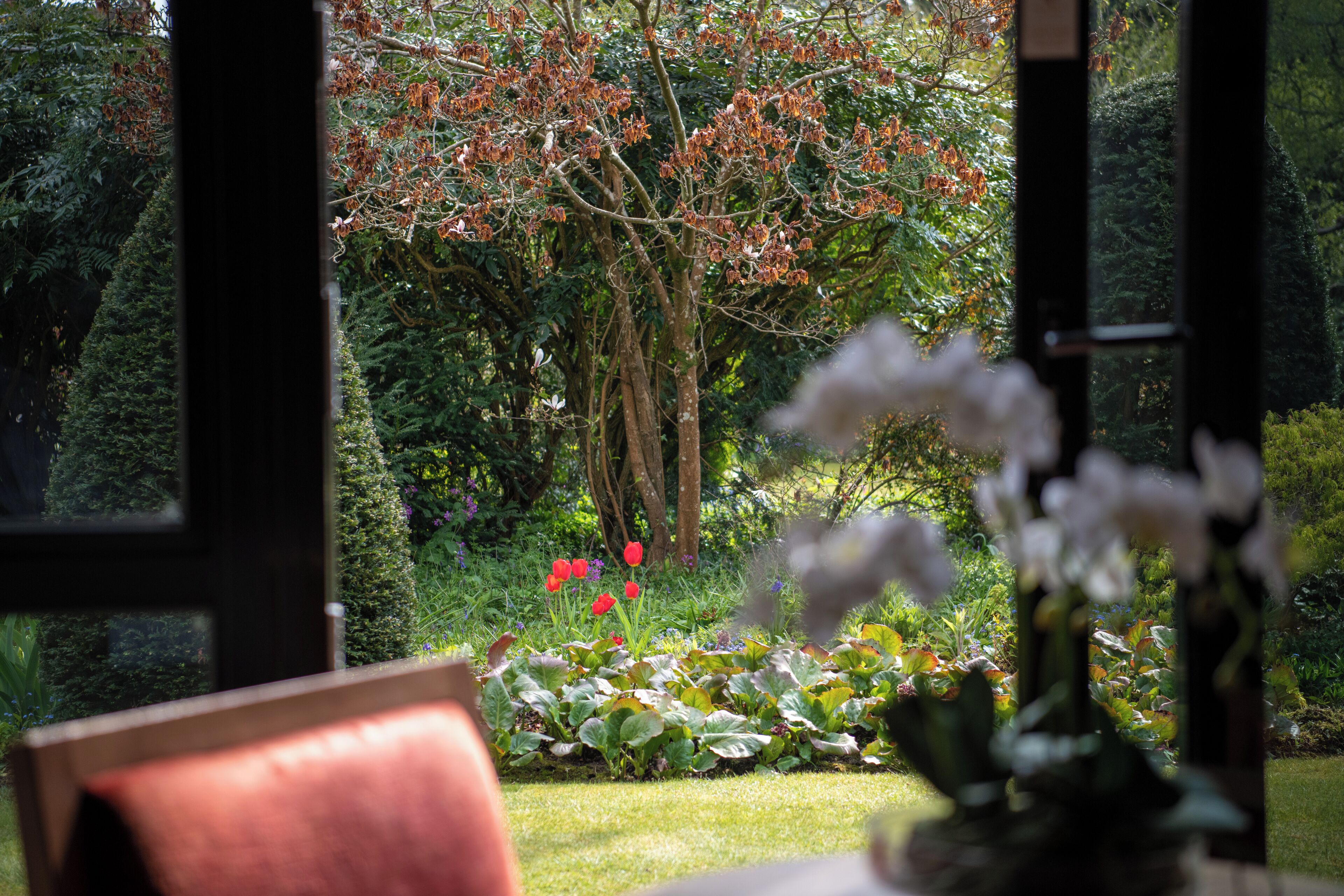 premium bedding, in-room safe, desk, iron/ironing board