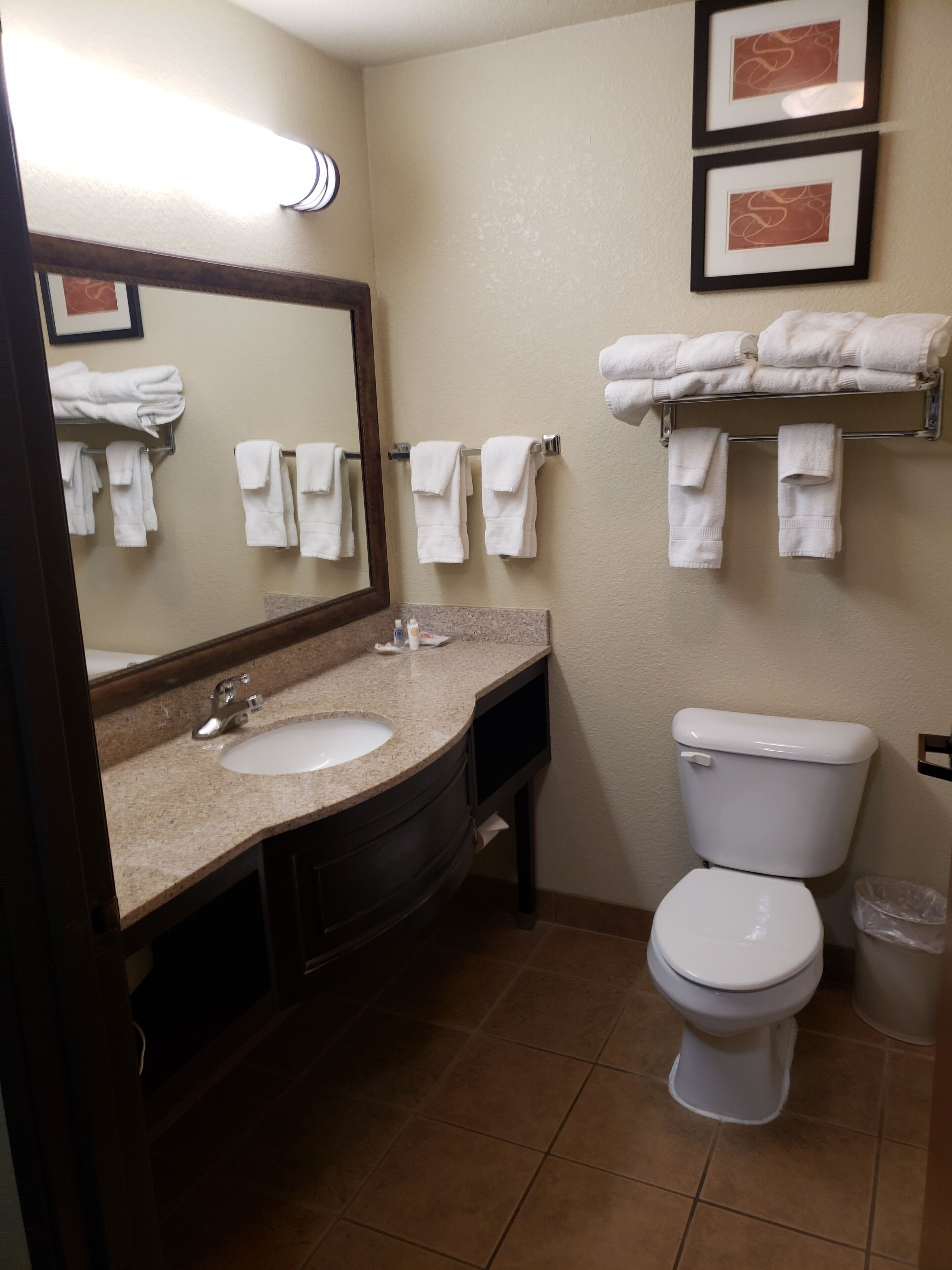 combined shower/bathtub, free toiletries, hair dryer, towels