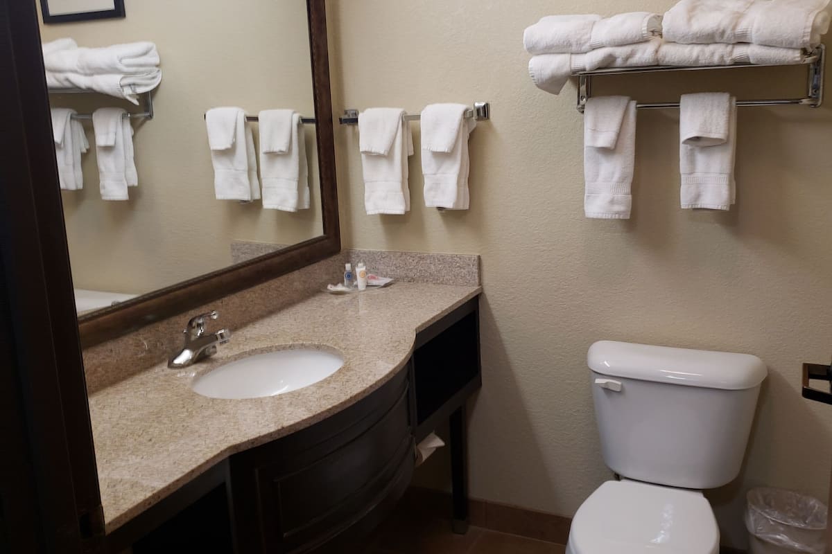 combined shower/bathtub, free toiletries, hair dryer, towels