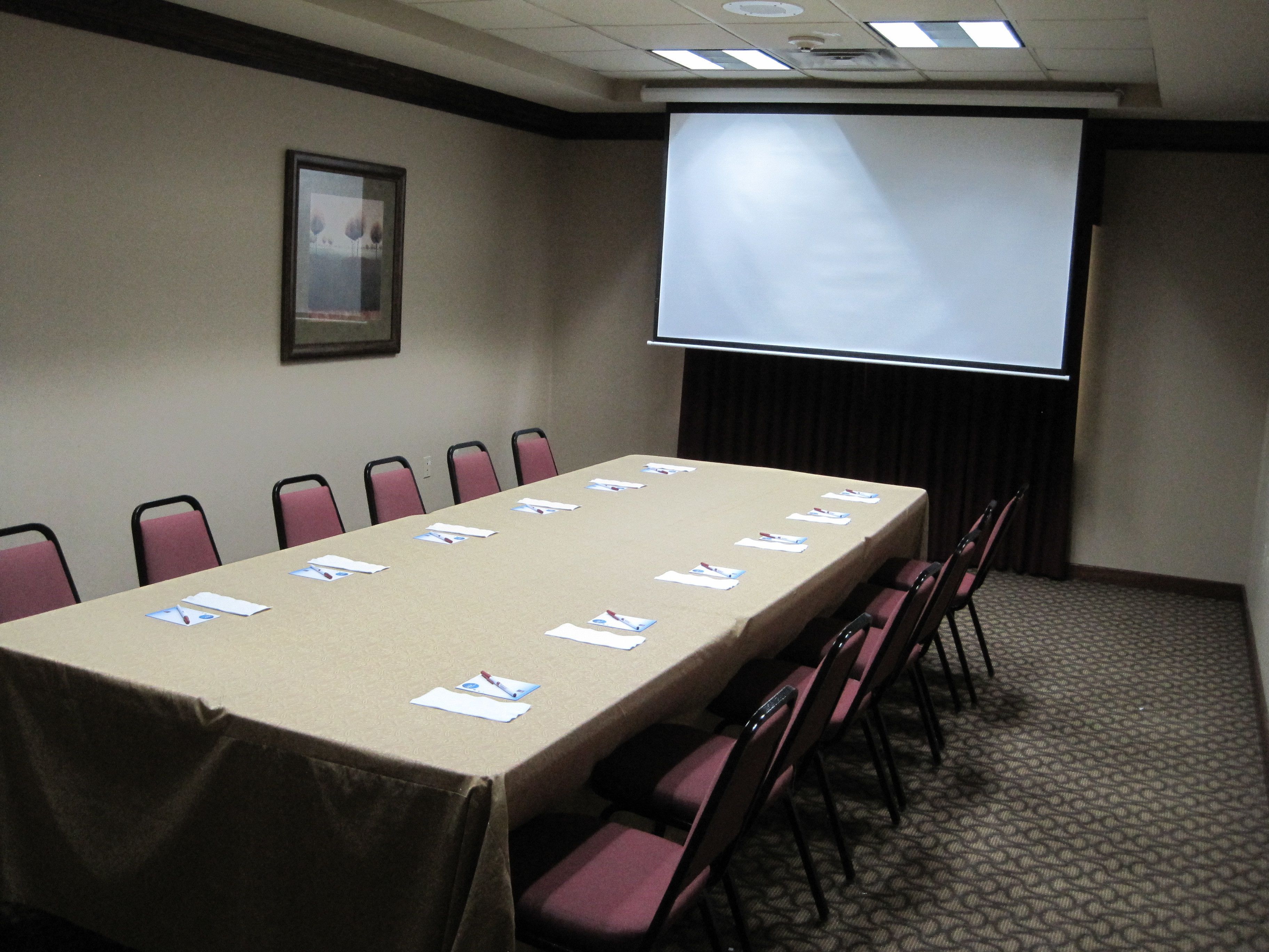 Un salón de conferencias con una larga mesa, sillas, una pantalla de proyector y un cuadro en la pared.
