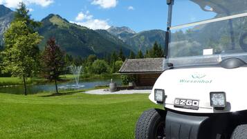 Golf cart