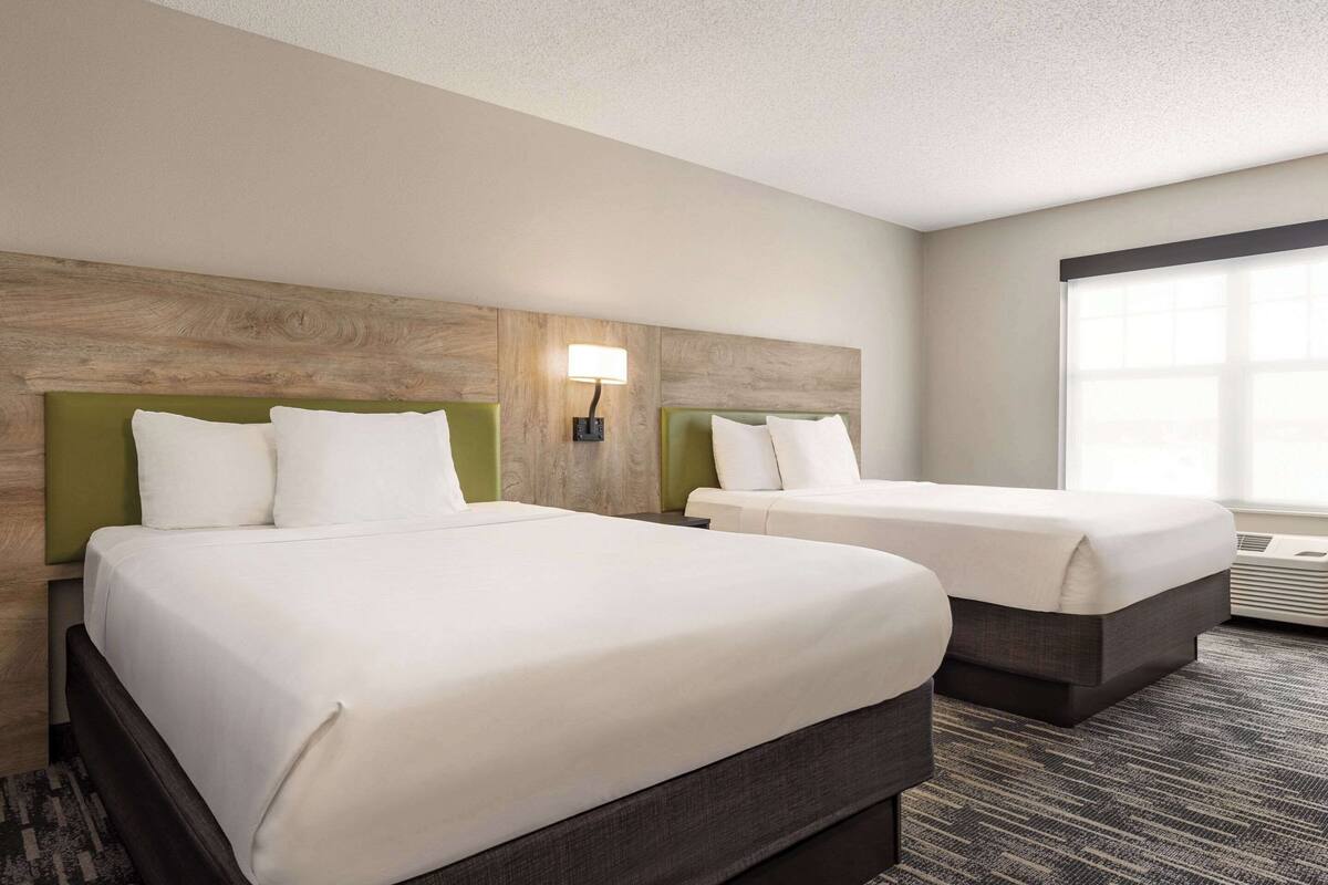 A hotel room with two beds, a wooden headboard, a green accent wall, and a large window.