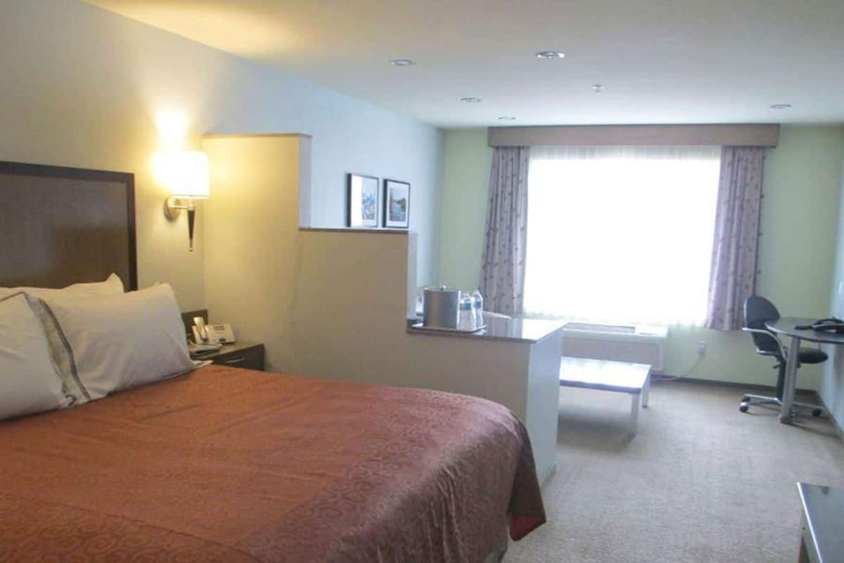 Premium bedding, down duvets, desk, blackout curtains