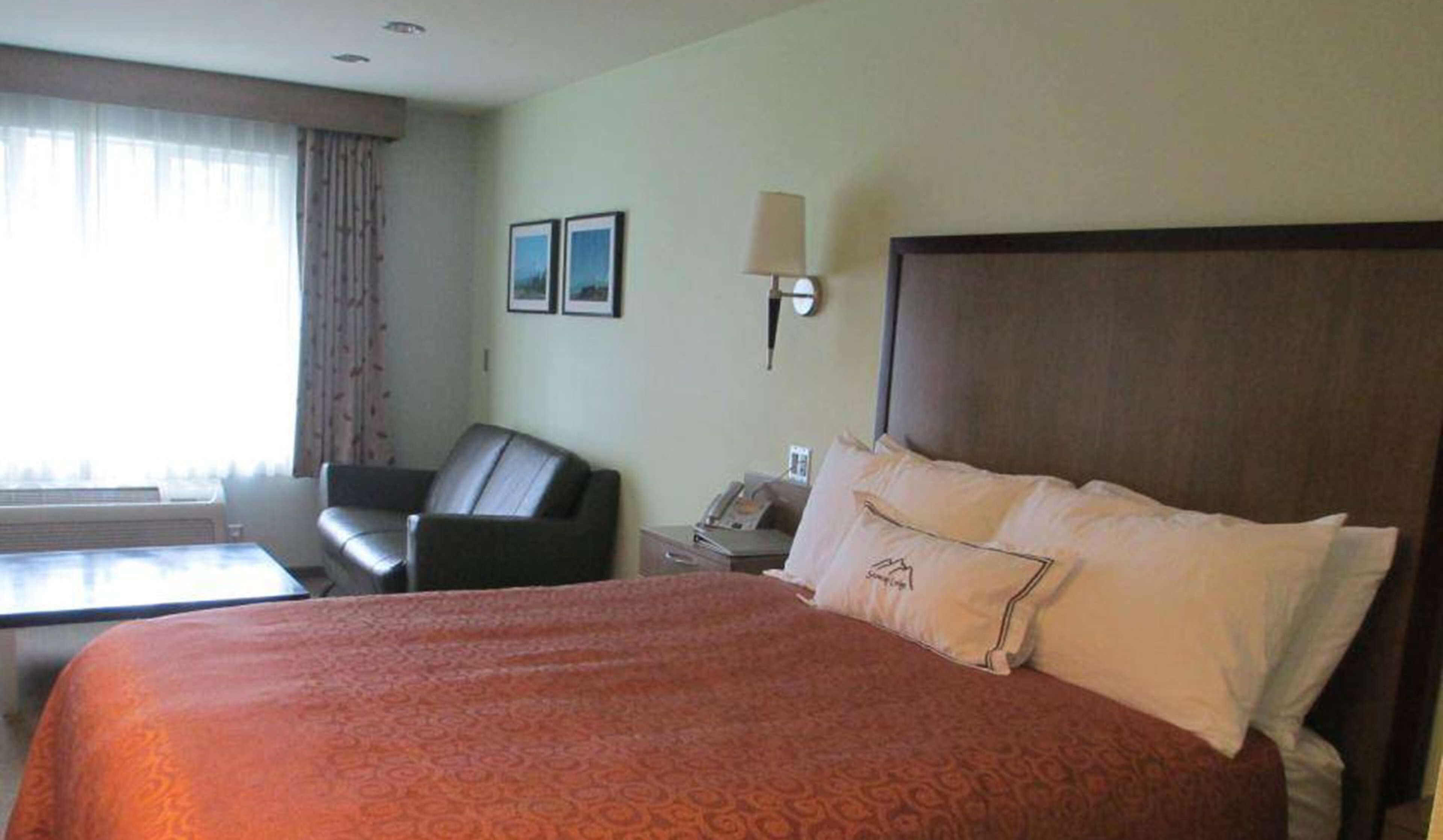 Standard Room, 1 Queen Bed, Non Smoking, Refrigerator & Microwave | Premium bedding, down comforters, desk, blackout drapes