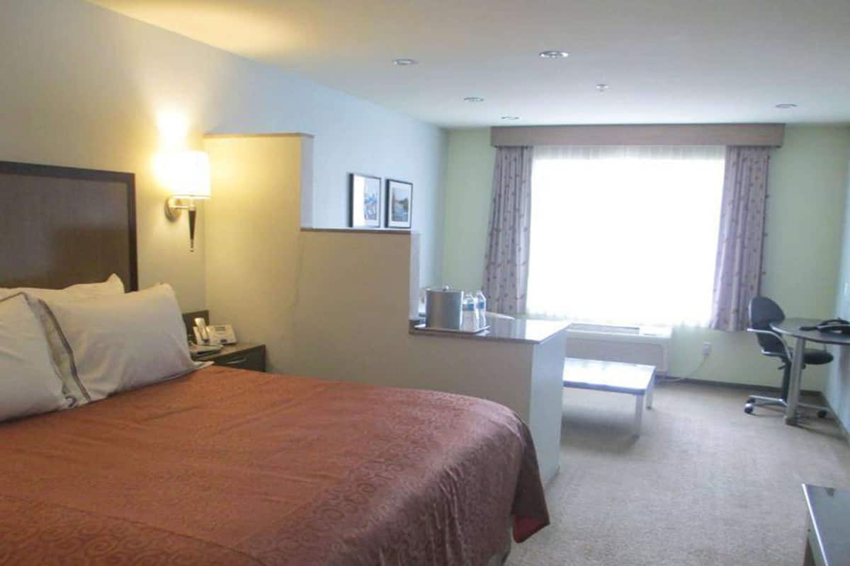 A hotel room with a bed, a desk, a chair, a lamp, and a window with curtains.