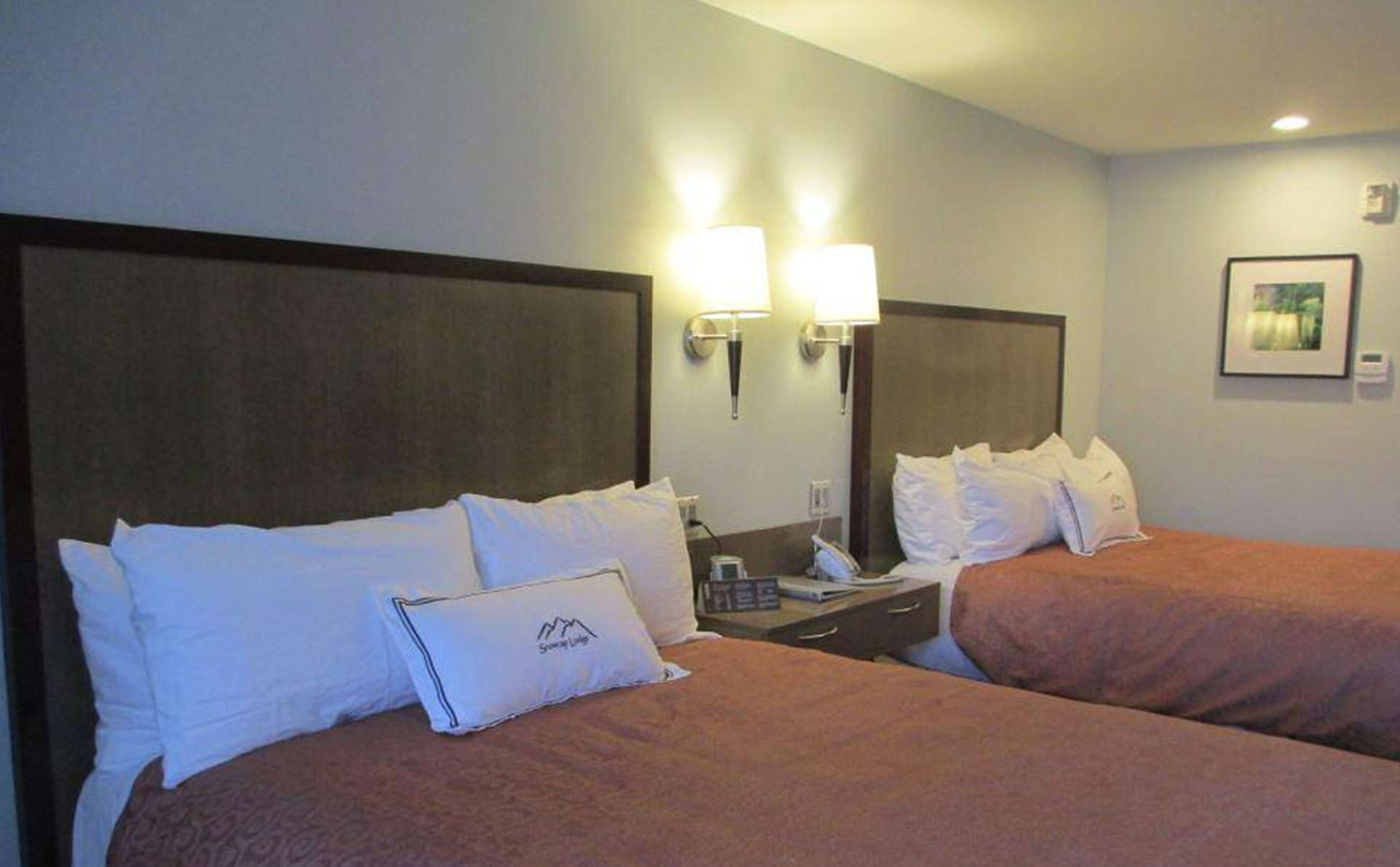 standard room, 2 queen beds, non smoking, refrigerator & microwave | premium bedding, down duvets, desk, blackout curtains