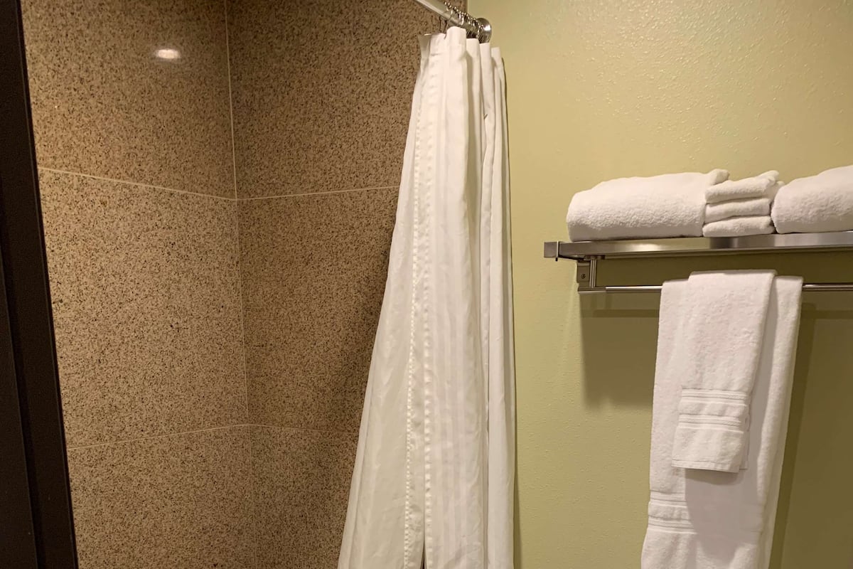 shower, free toiletries, hair dryer, towels