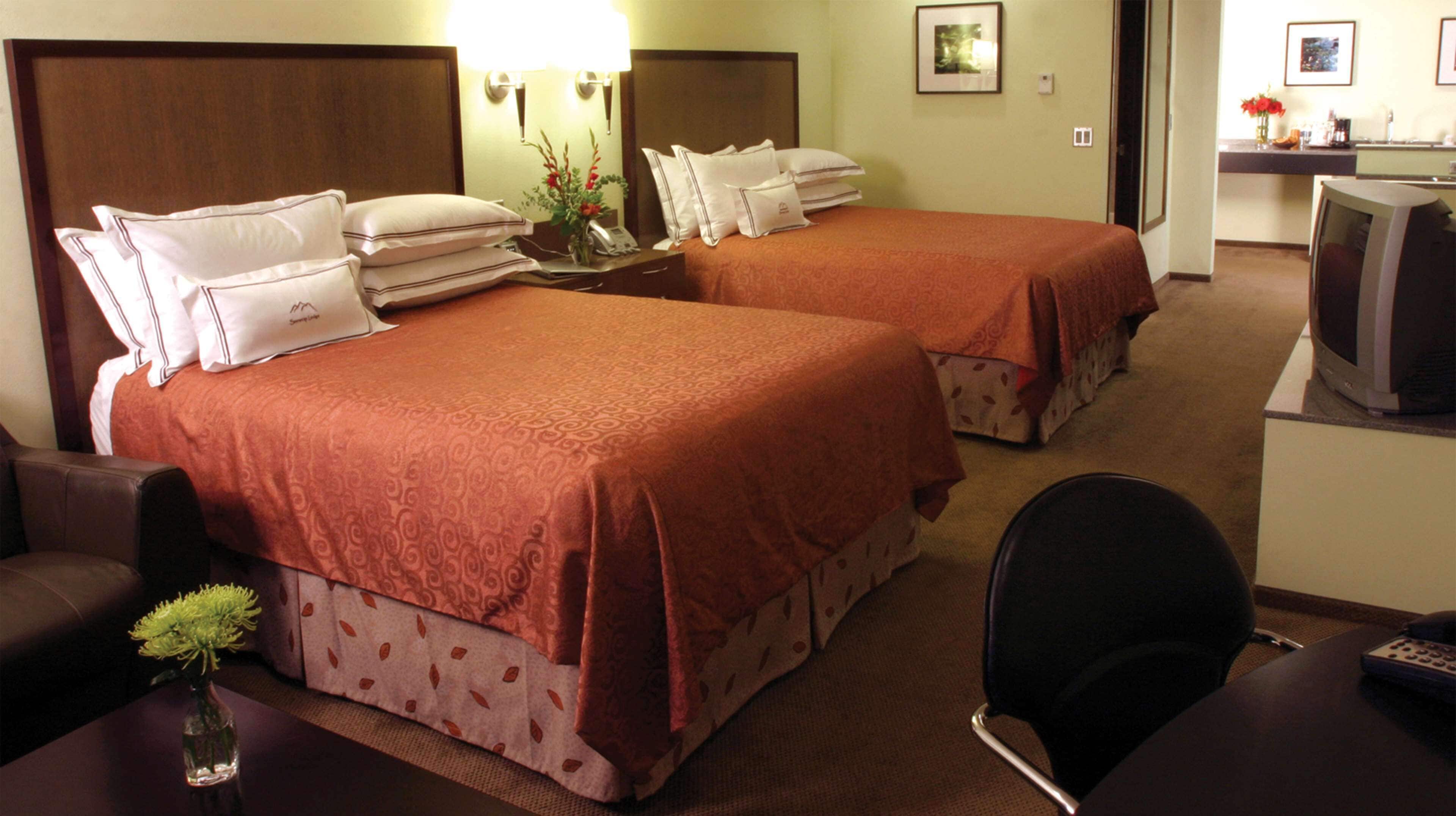 Standard Room, 2 Queen Beds, Non Smoking, Refrigerator & Microwave (Oversized Room) | Premium bedding, down comforters, desk, blackout drapes
