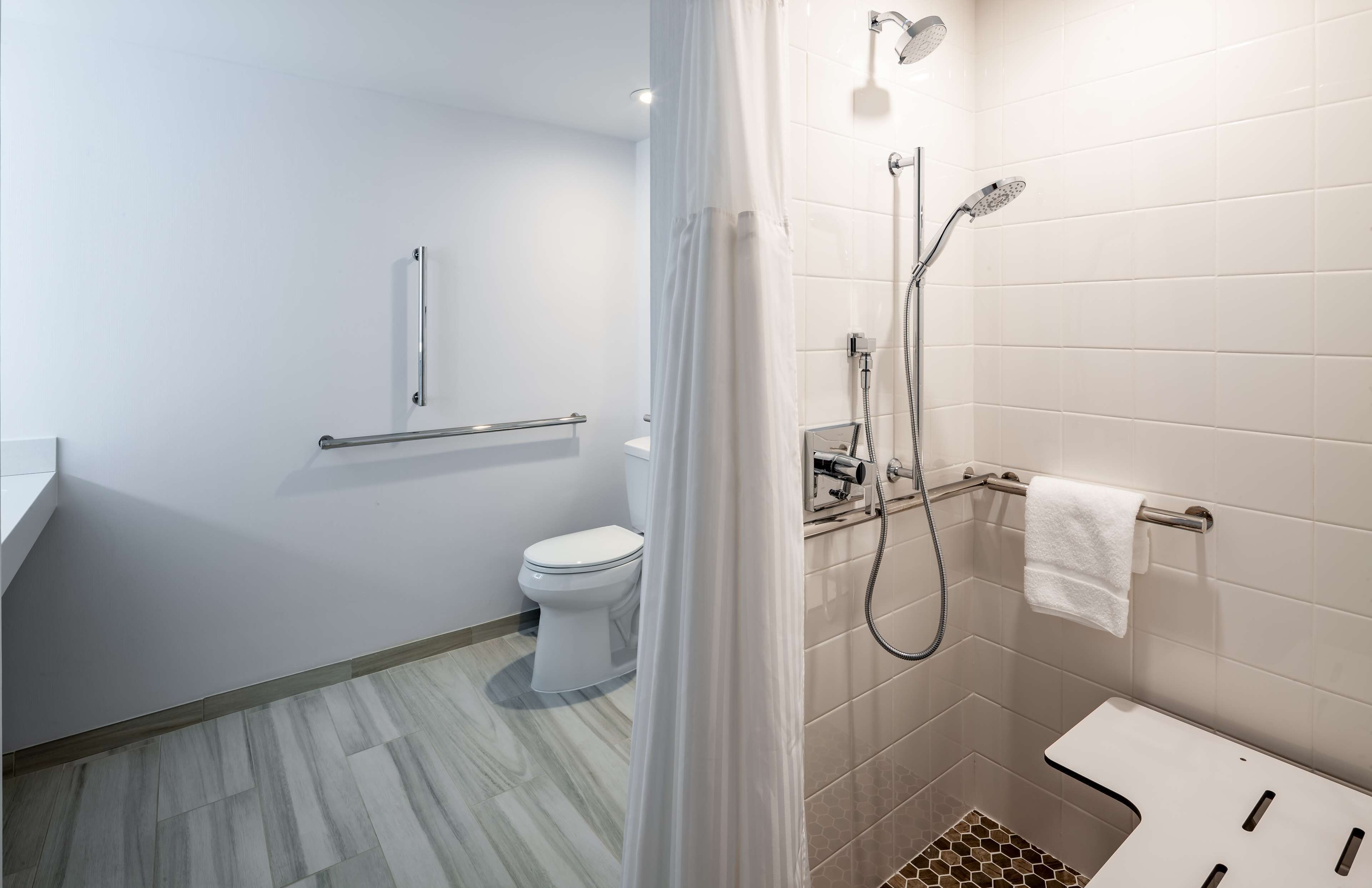 suite, accessible | bathroom shower