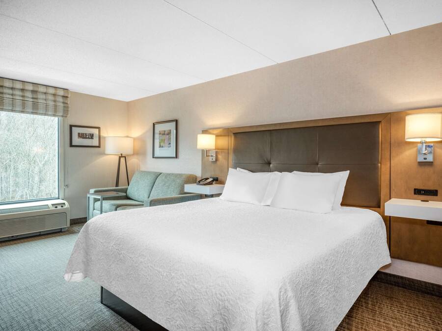 A hotel room with a large bed, a bedside table, a lamp, a chair, and a window with a view of trees.