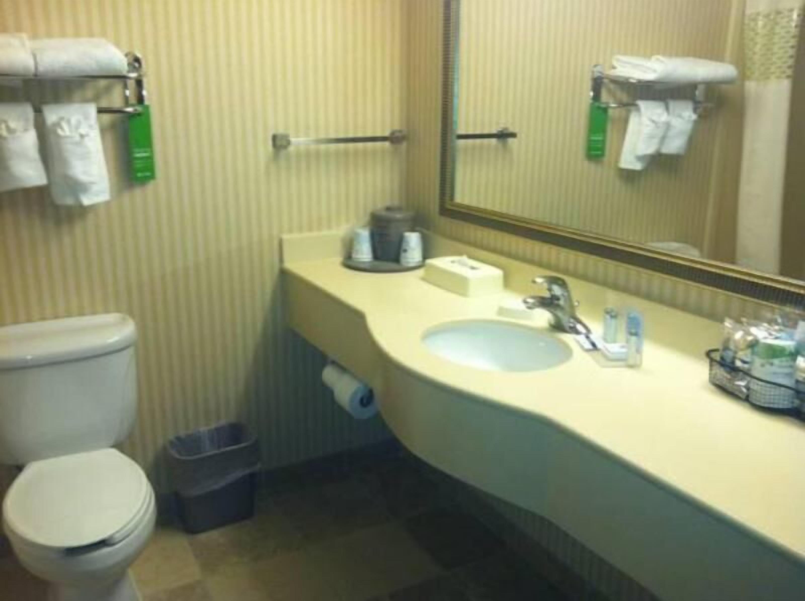 Bathroom | Combined shower/tub, free toiletries, hair dryer, towels