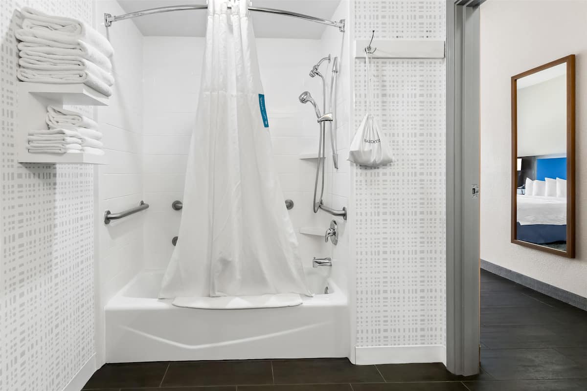combined shower/bathtub, free toiletries, hair dryer, towels