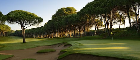 A golf course with sand bunkers, trees, and a clear sky.