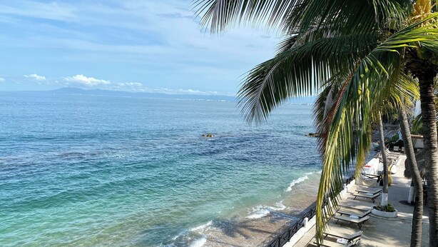 A beachside view with clear waters, a palm tree, and a row of sun loungers along the shore.
