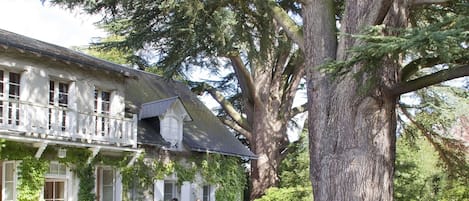 Blick auf den Garten