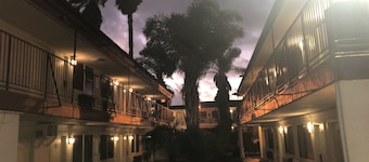 Hotel Primera