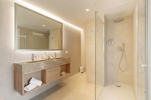 Shower, hair dryer, bidet, towels