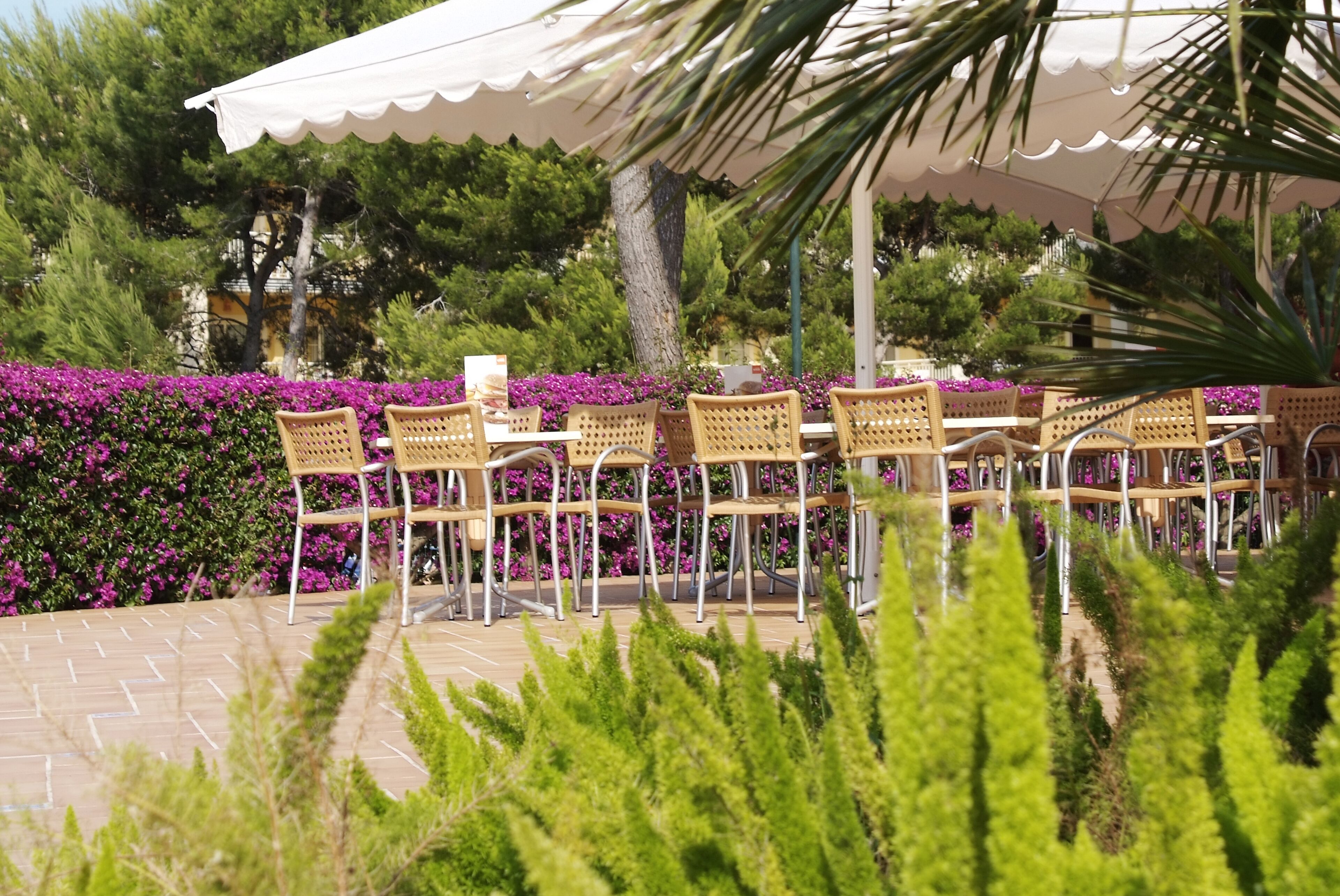 Foto - Zafiro Mallorca & Spa