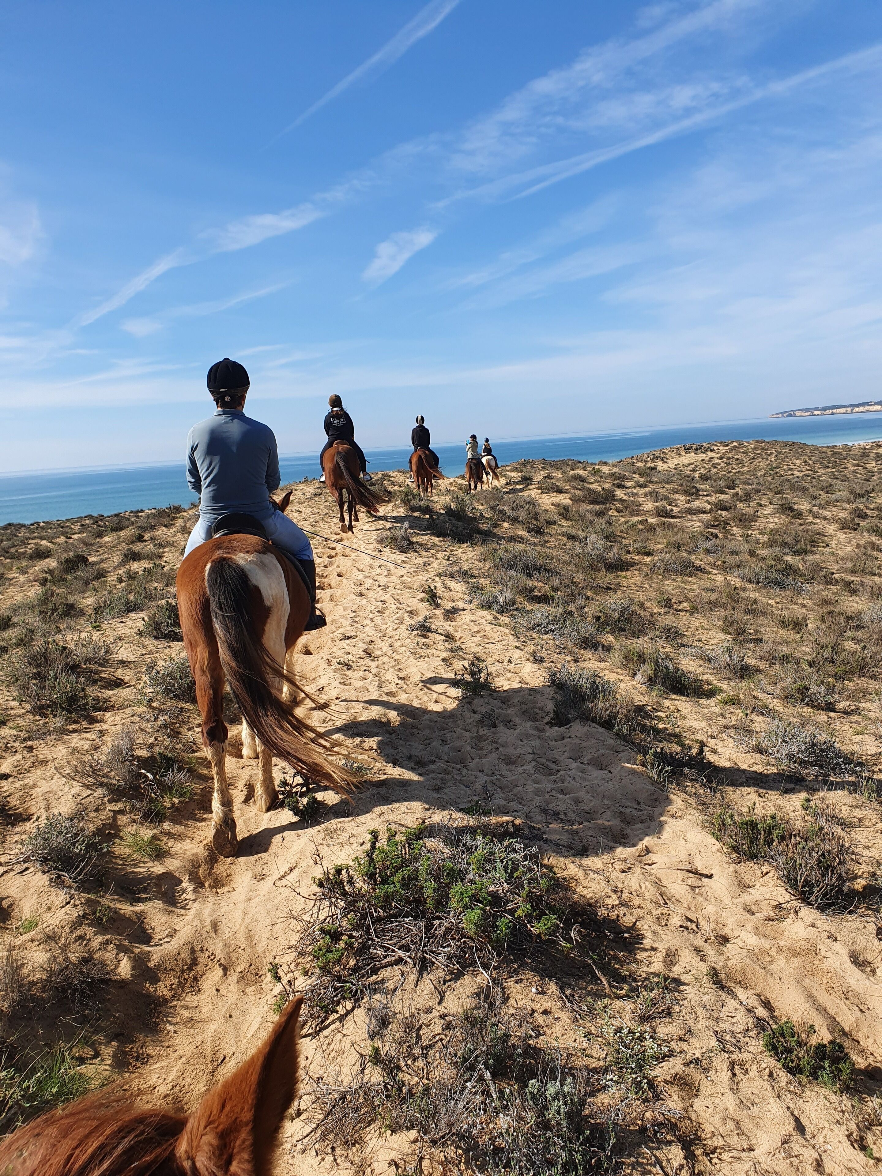 Un gruppo di persone cavalca lungo un sentiero sabbioso con vista sull'oceano.