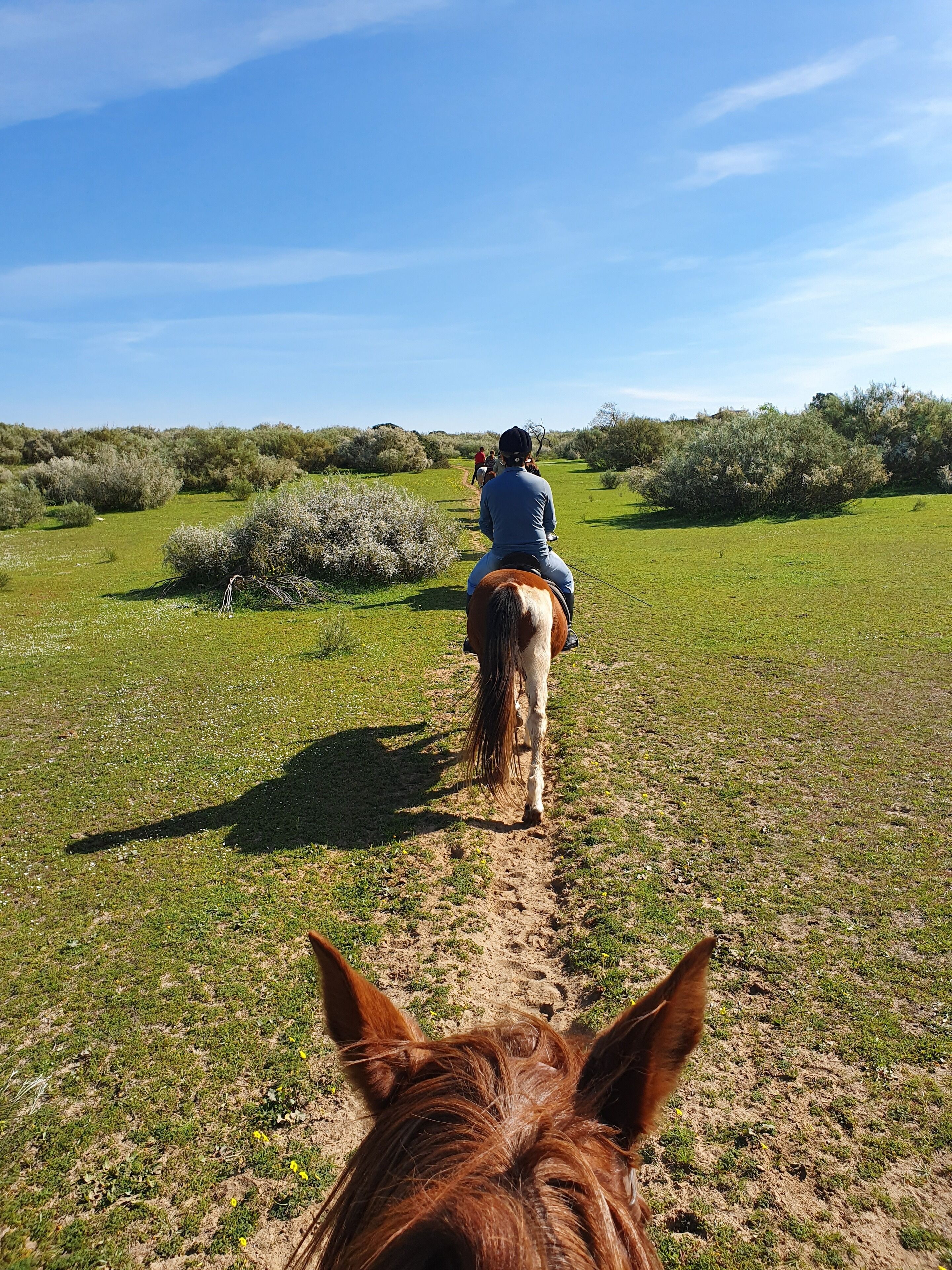A horse and rider on a dirt path in a grassy field with sparse vegetation and bushes.