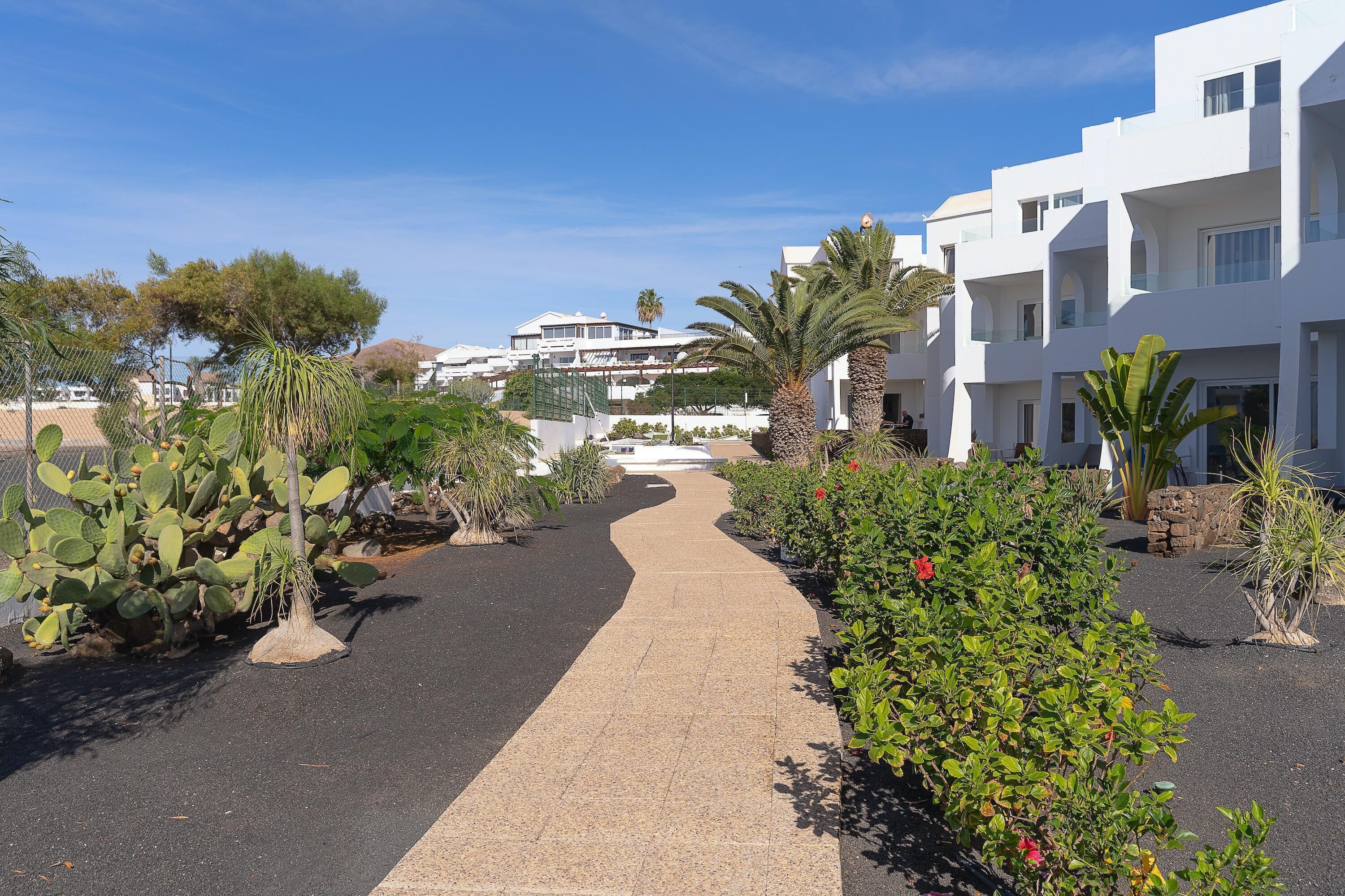 A pathway leading to a white building with balconies, surrounded by cacti and flowering plants.