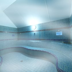 Sauna, hot tub, steam room, Turkish bath, facials