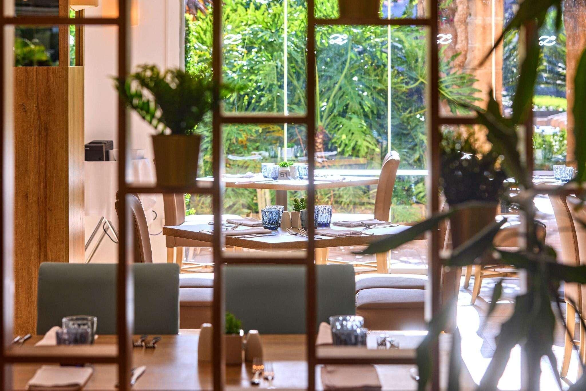 Foto - Zafiro Palmanova