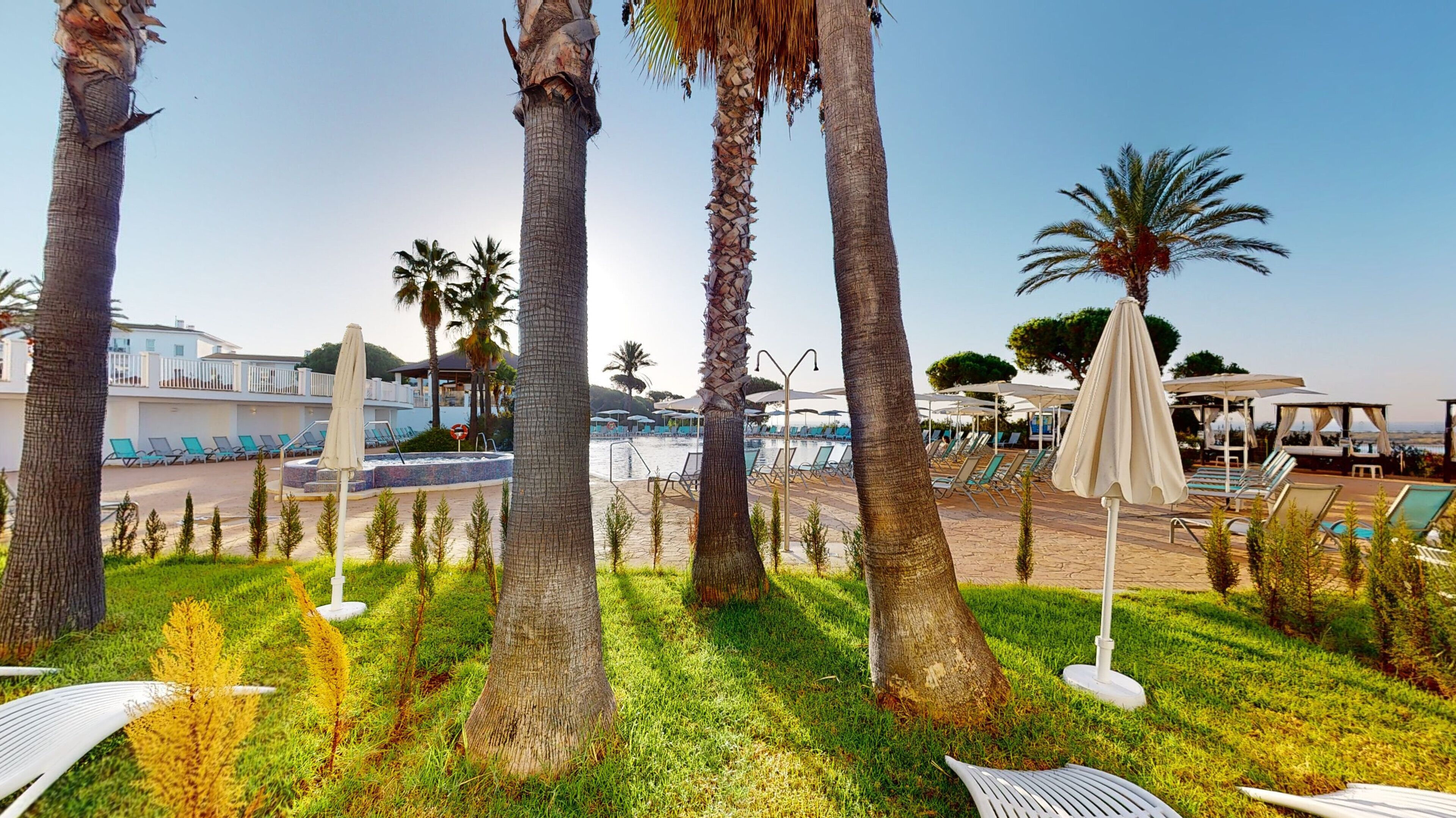 Un área junto a la piscina con sillones de descanso, sombrillas y palmeras.