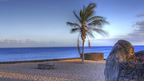 Una playa con una palmera, una roca grande y un muro de piedra.