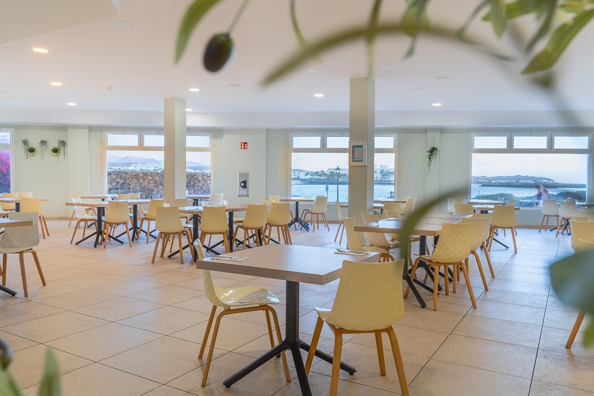 Photo - Apartamentos Galeon Playa