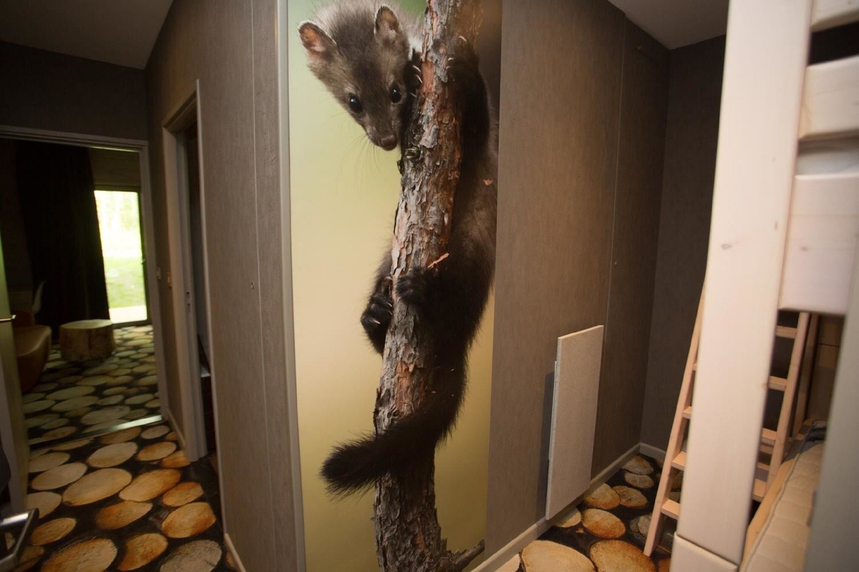 soundproofing, free wifi