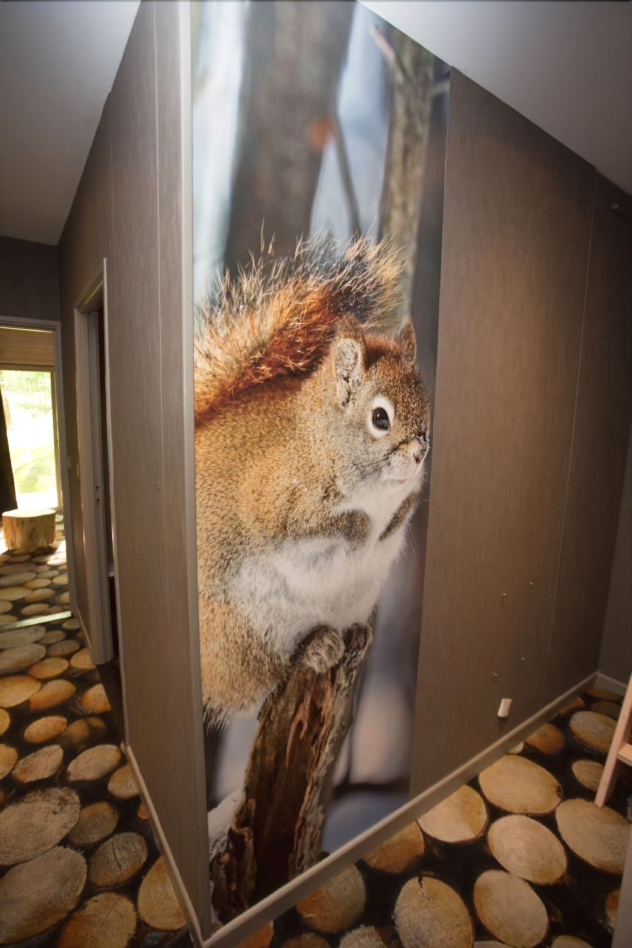 soundproofing, free wifi