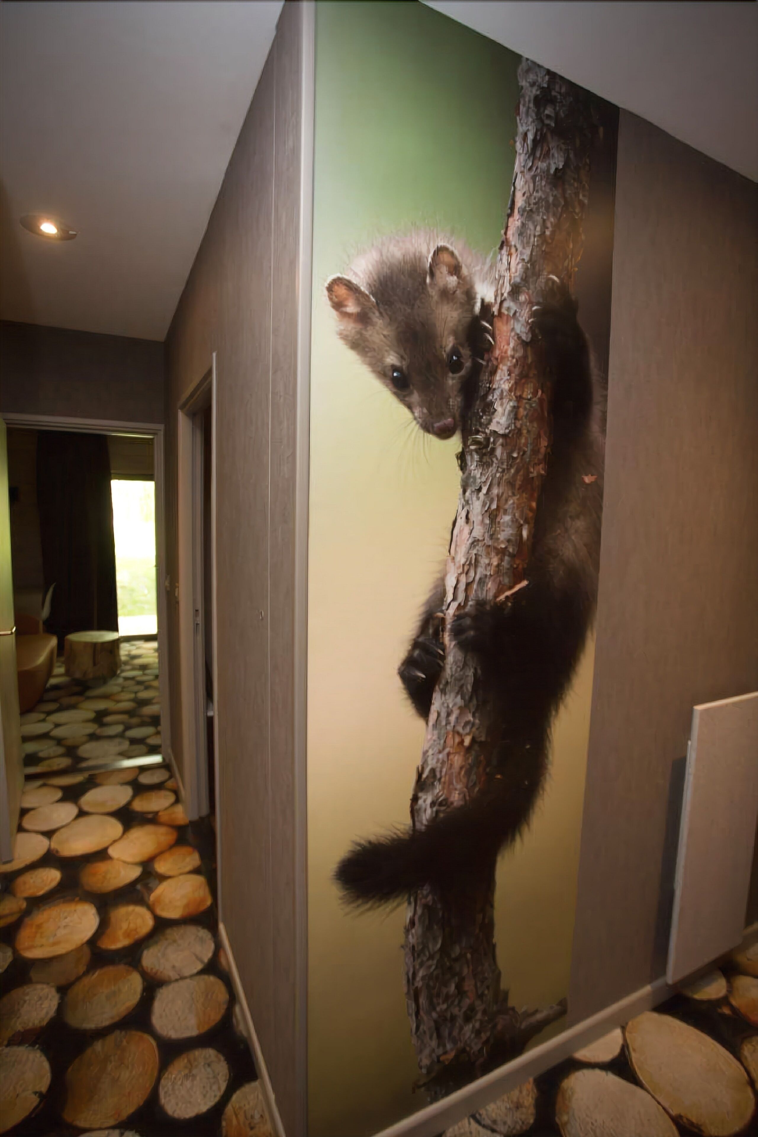 soundproofing, free wifi