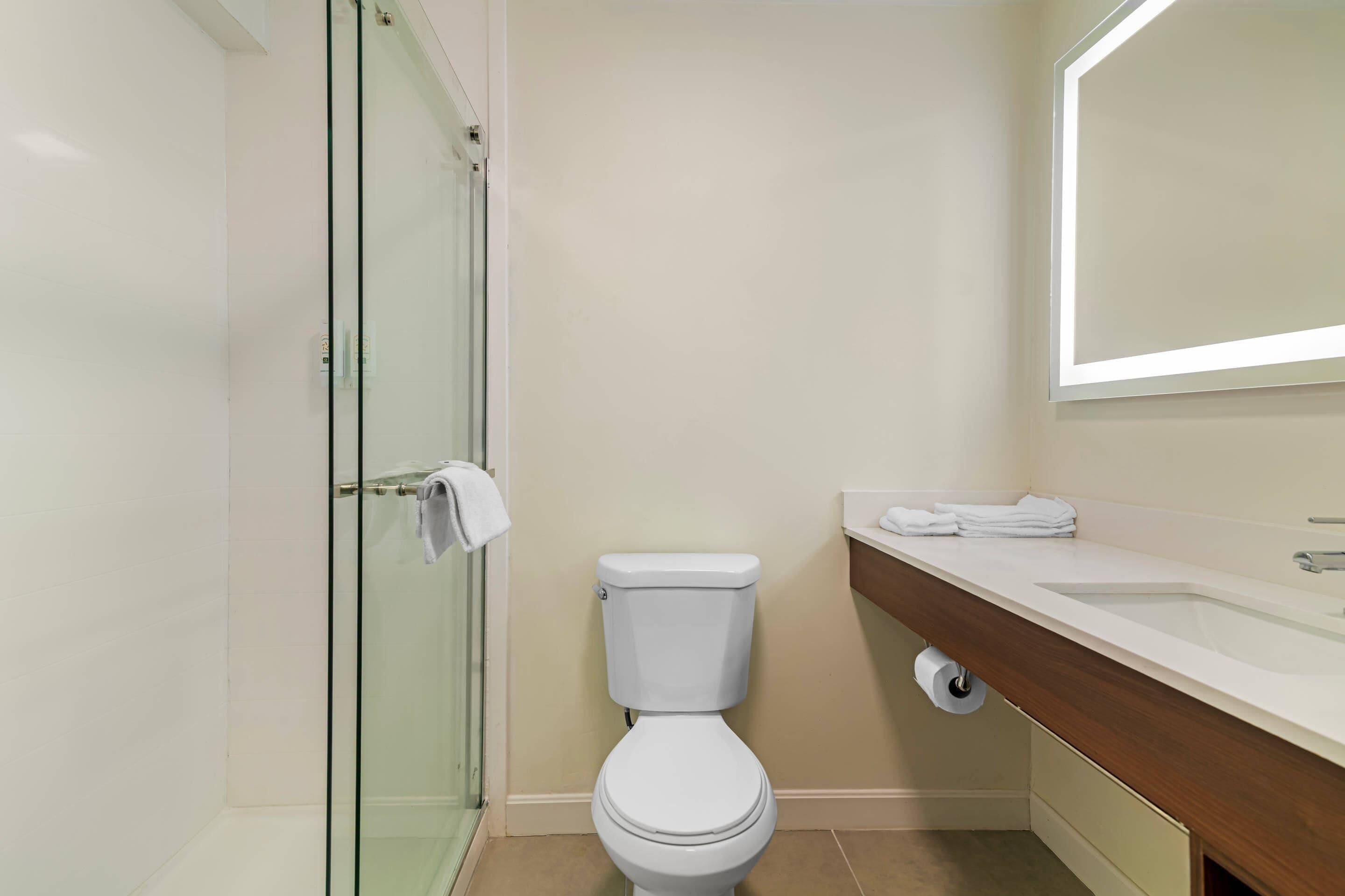 A modern bathroom with a glass shower enclosure, a white toilet, and a wooden vanity with a sink.