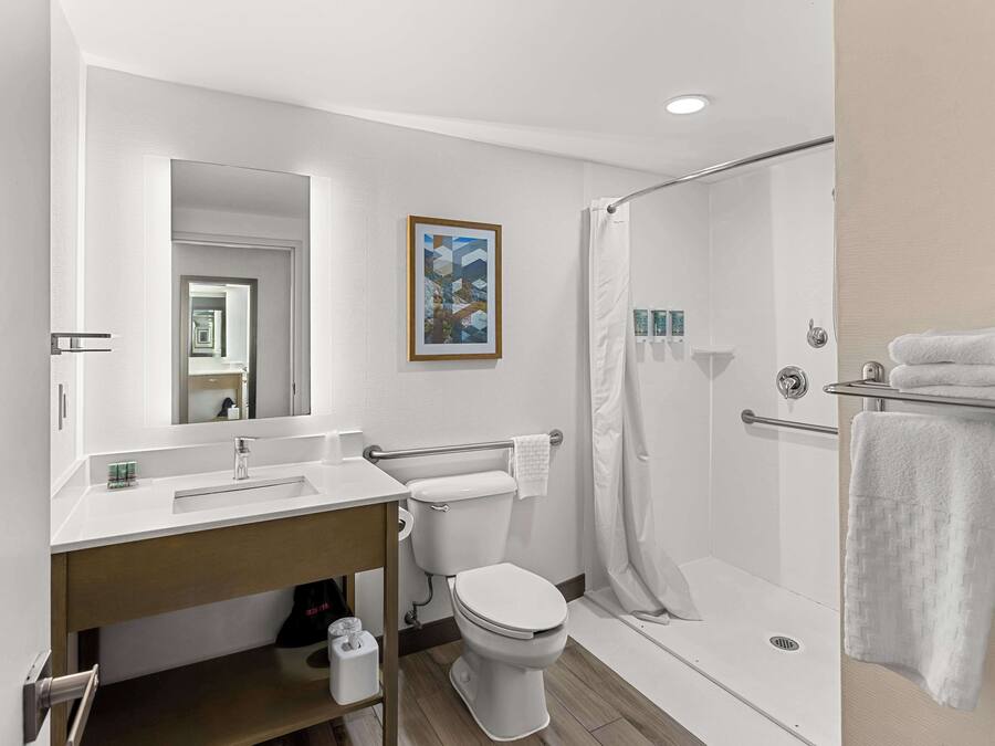 A modern bathroom with a shower, toilet, sink, and a framed picture on the wall.
