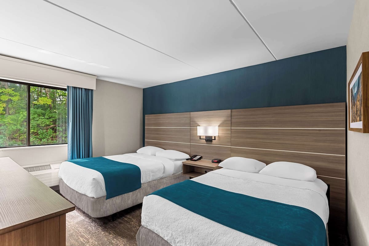 Een bureau, een strijkplank/strijkijzer, gratis babybedden, gratis wifi