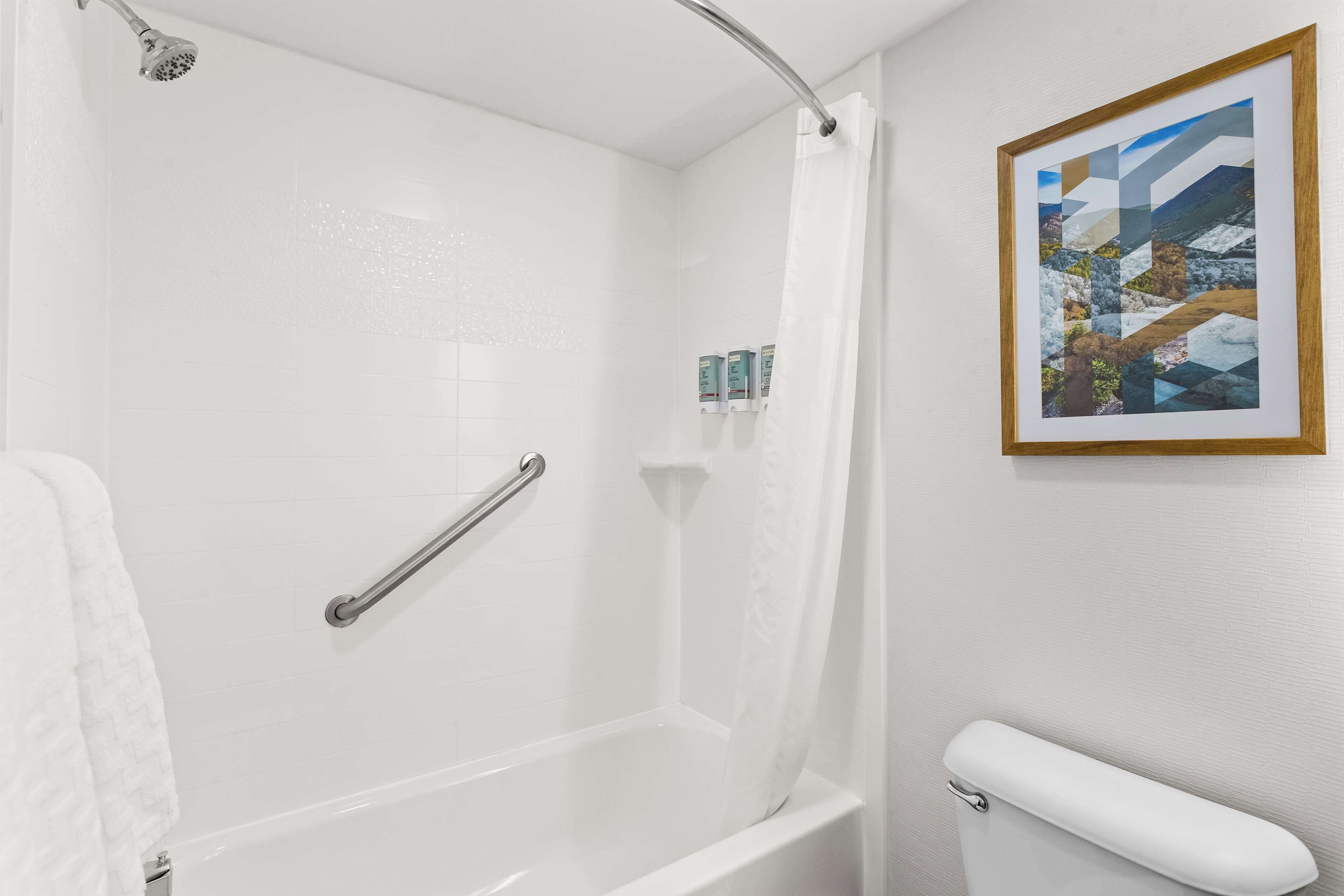 Een badkamer met een wit bad, een douche met glazen deur, een handgreep en een ingelijst schilderij aan de muur.