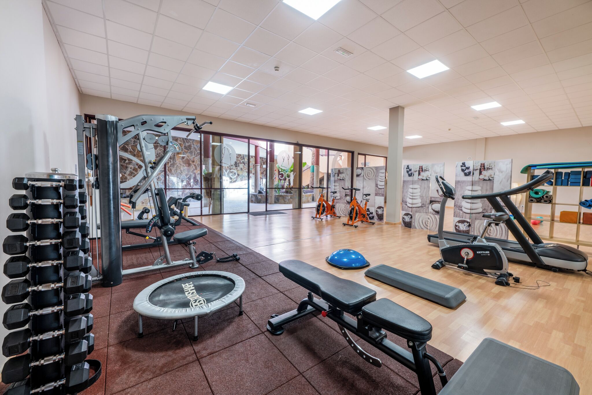 A gym with various exercise equipment, including dumbbells, a bench, a trampoline, and cardio machines.