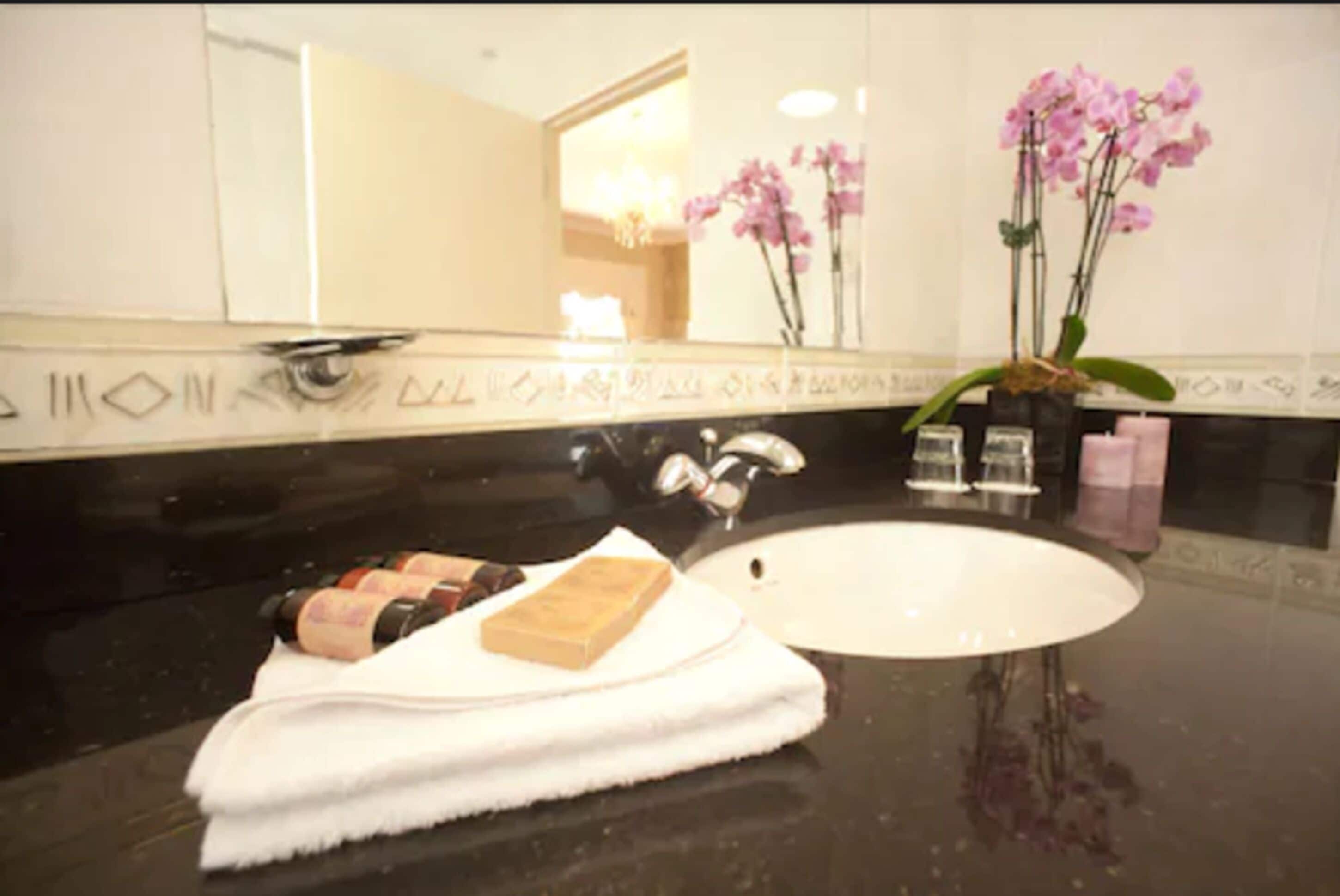 combined shower/bathtub, free toiletries, hair dryer, towels