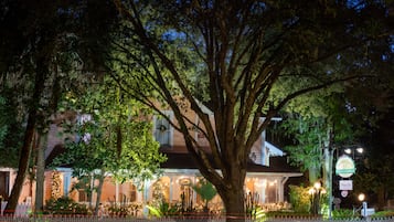 Un árbol grande frente a un edificio con porche e iluminación.