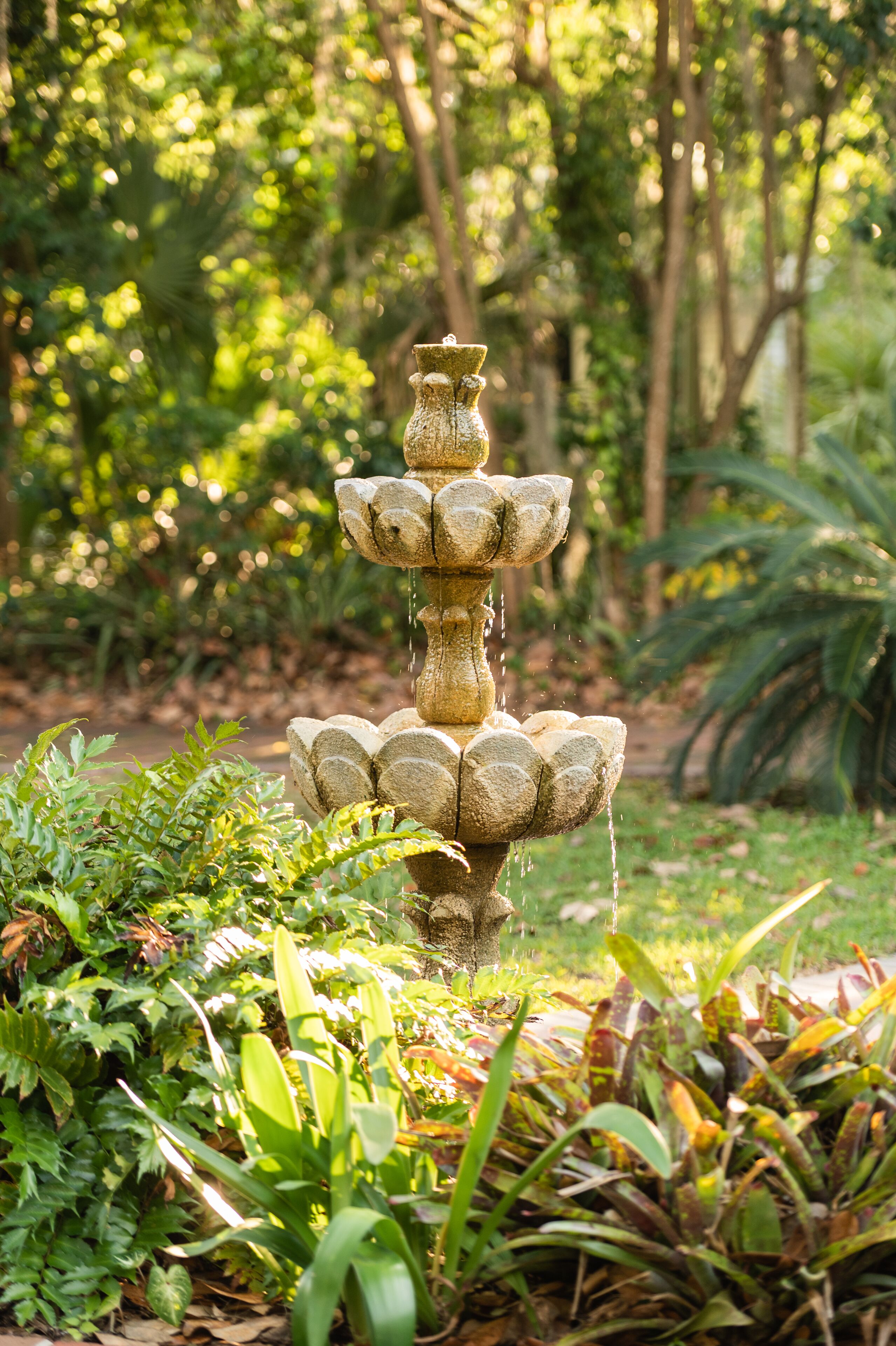 Foto - Sweetwater Branch Inn