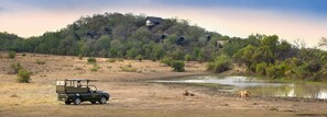 Un vehículo de safari estacionado cerca de un río, con una leona y cachorros cerca.