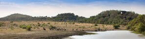 A natural landscape with a river, a group of zebras, and a forested hill. - Tshukudu Bush Lodge (Pilanesberg National Park)
