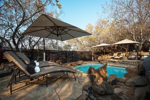 Outdoor pool, pool umbrellas, sun loungers - Tshukudu Bush Lodge (Pilanesberg National Park)