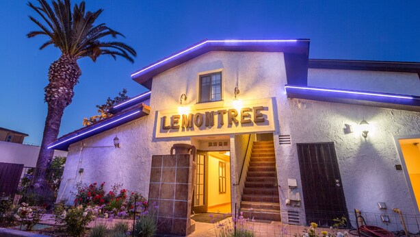 A building with a sign reading "LEMONTREE" at the entrance, a palm tree, and a staircase leading to the door. - Lemon Tree Hotel & Suites Anaheim (Anaheim)