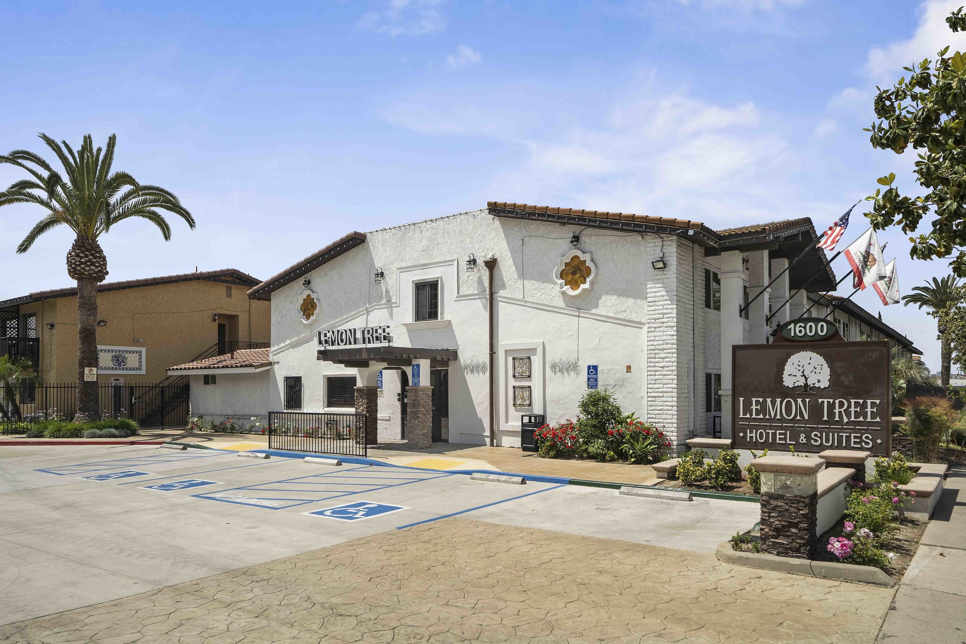 A hotel named Lemon Tree with a sign indicating 1600 rooms. It has a white facade with a brown roof, a palm tree in front, and a parking lot with handicapped spaces.