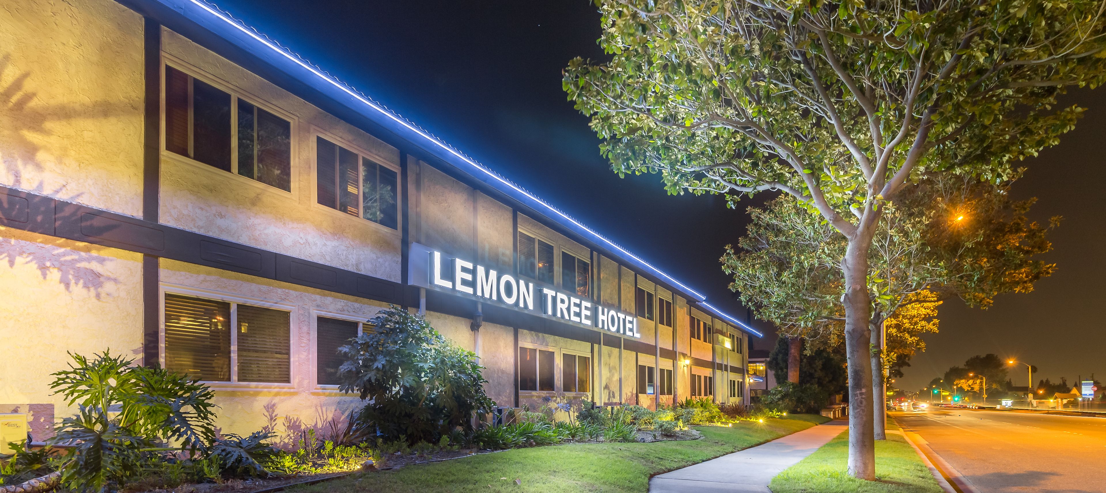 A building with the sign "LEMON TREE HOTEL" at night, featuring a modern facade, large windows, and a well-lit exterior.
