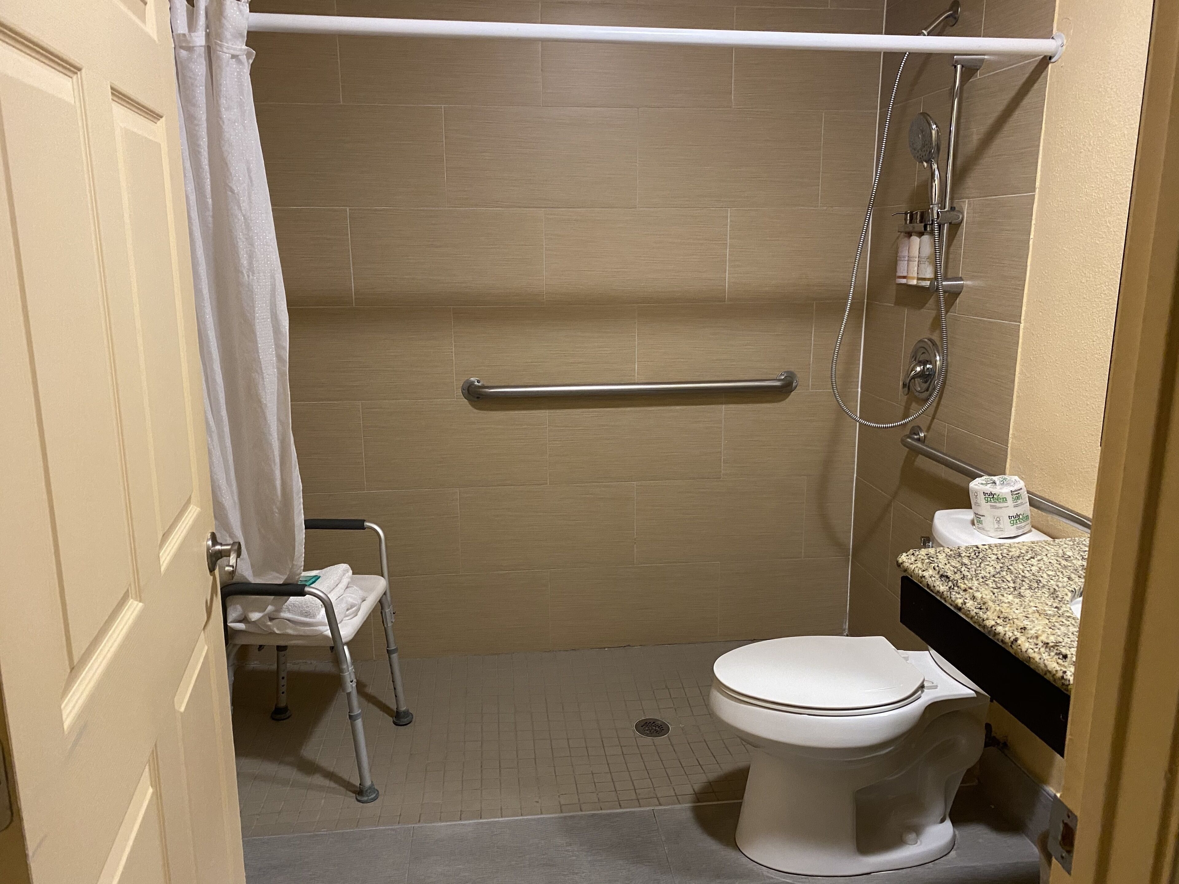 A bathroom with a shower, toilet, and grab bar.