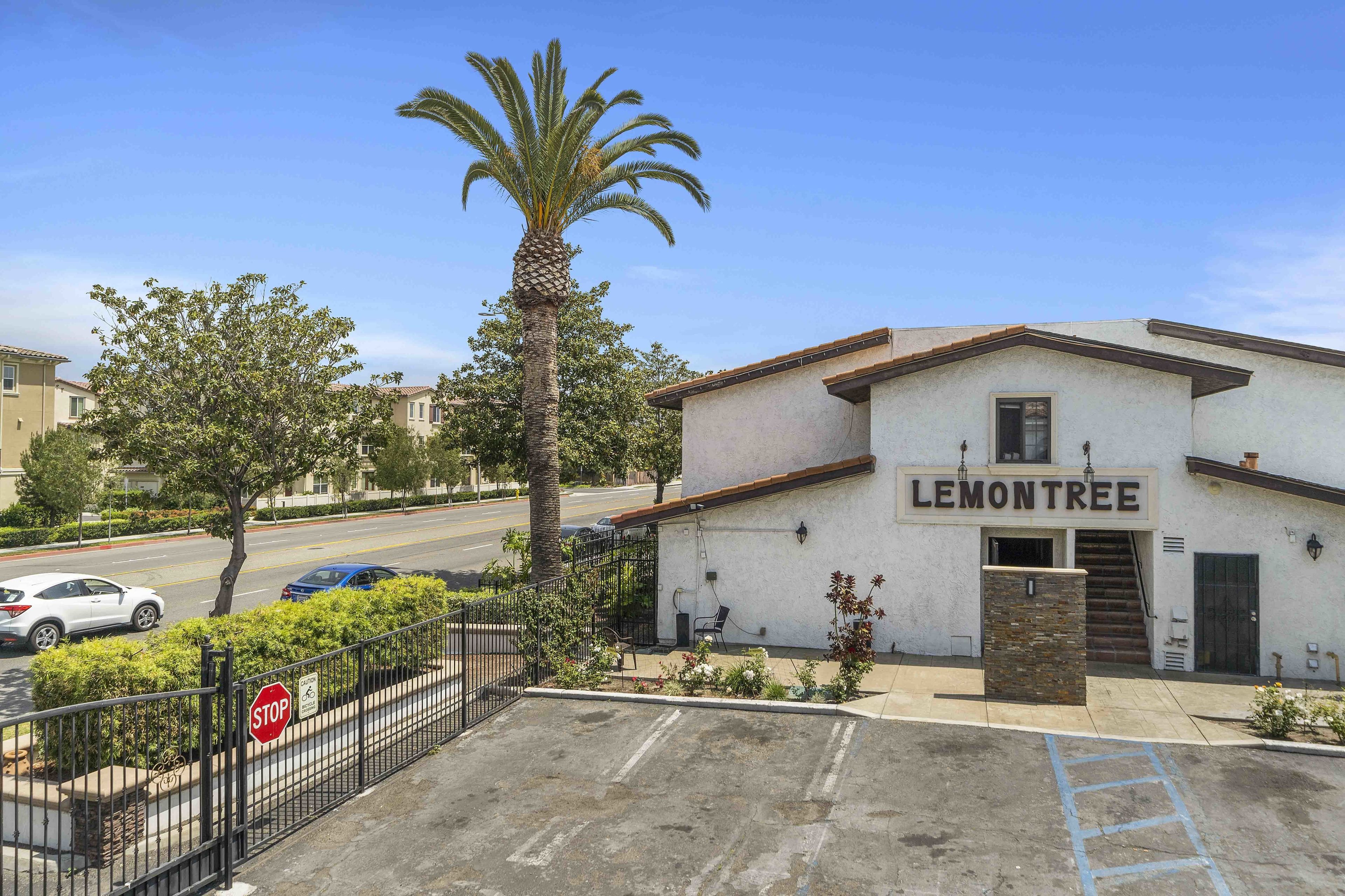 A building named "LEMONTREE" with a parking lot, a stop sign, and a palm tree.